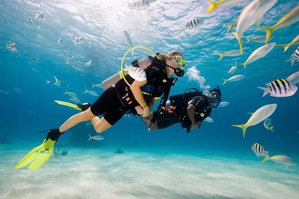 Diving Tours